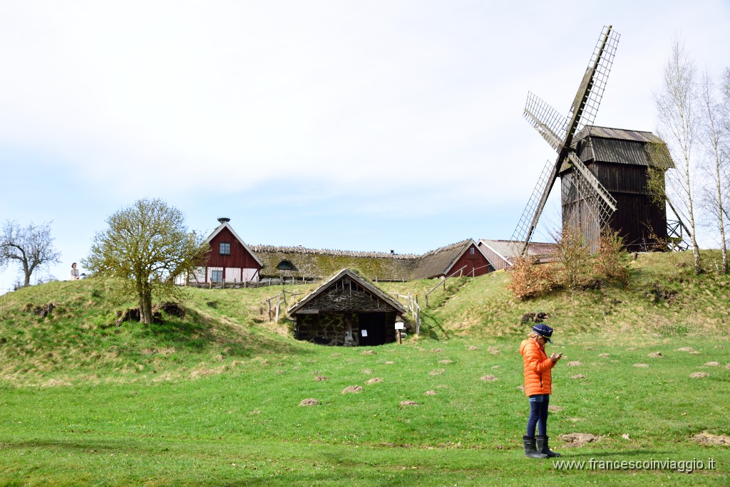 DSC_3037.JPG