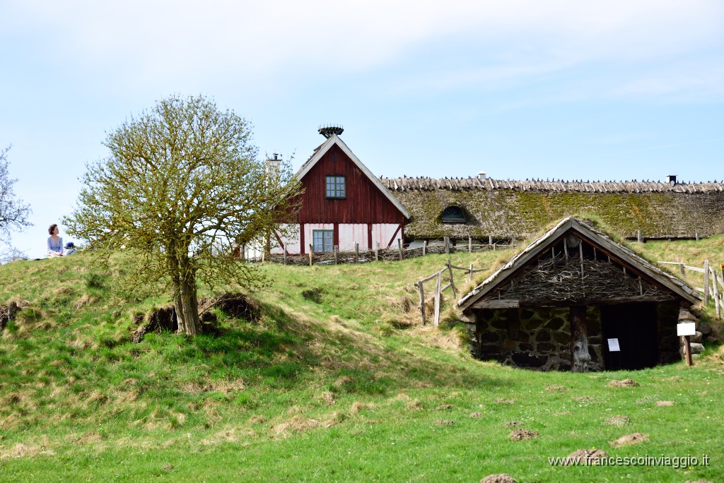 DSC_3039.JPG