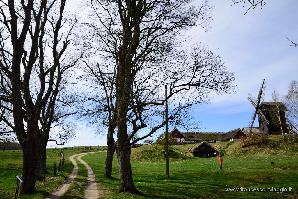 DSC_3042.JPG