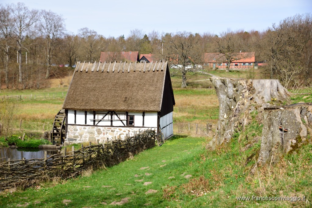 DSC_3066.JPG