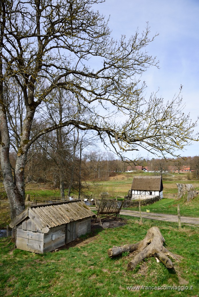 DSC_3067.JPG