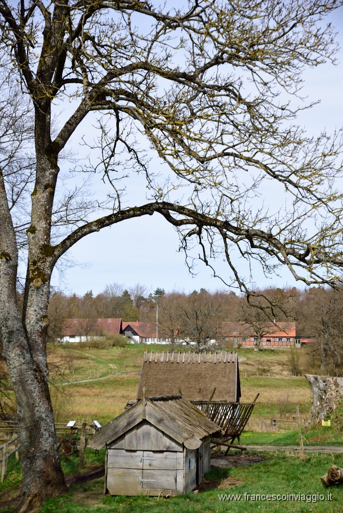 DSC_3074.JPG