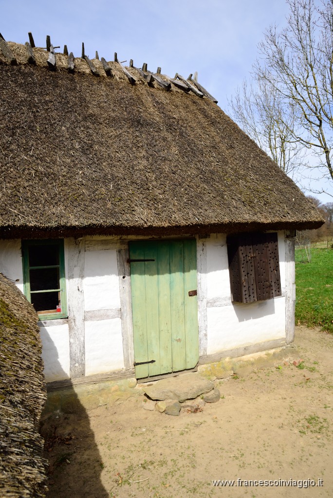 DSC_3079.JPG
