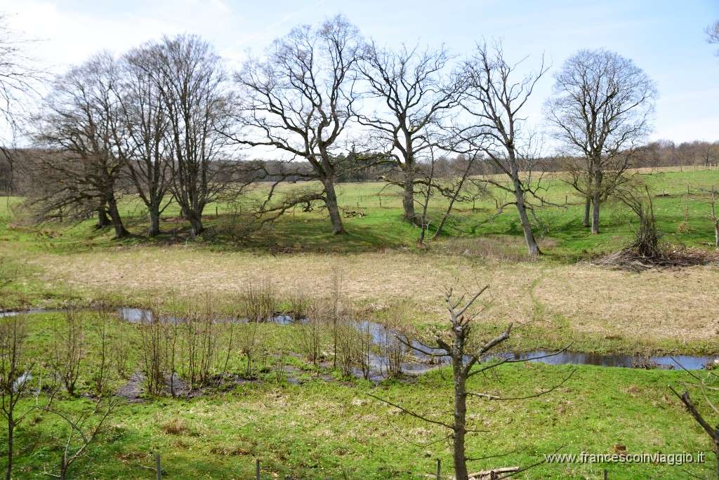 DSC_3085.JPG