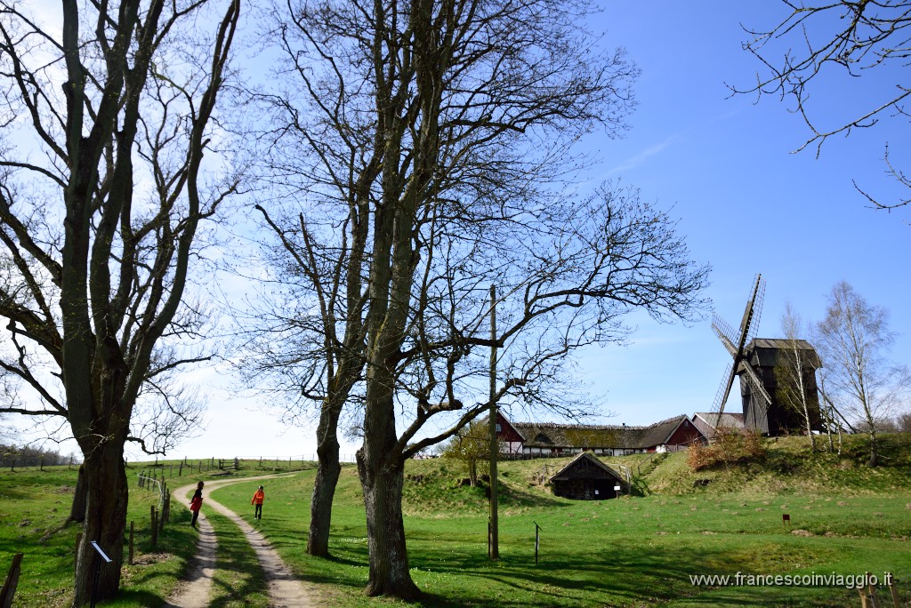 DSC_3093.JPG
