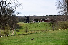 DSC_2962