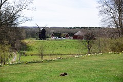 DSC_2967