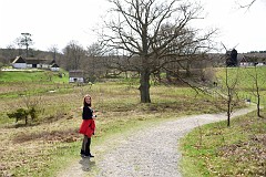 DSC_2989