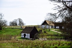 DSC_3004