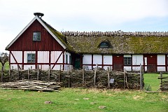 DSC_3016