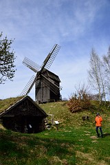 DSC_3029