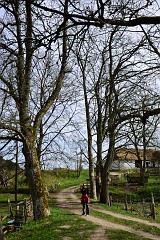 DSC_3040