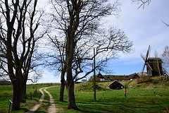 DSC_3042