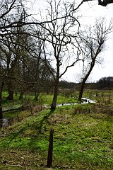 DSC_3048
