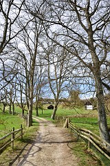 DSC_3054