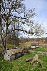 DSC_3067