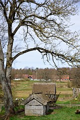 DSC_3074