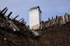 DSC_3080