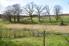 DSC_3085