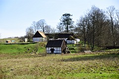 DSC_3096