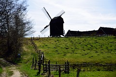 DSC_3097