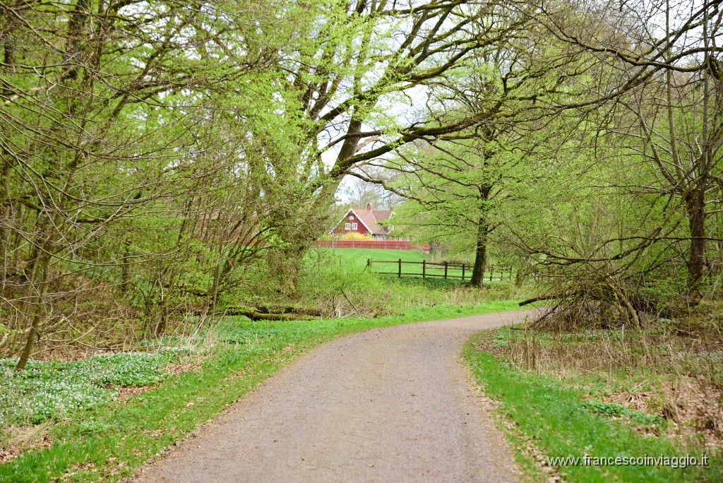 DSC_3536.JPG