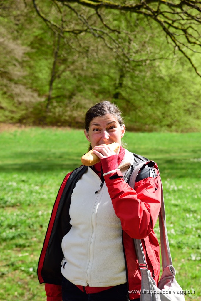 DSC_3549.JPG