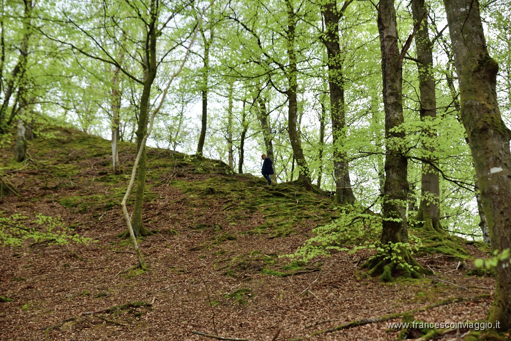 DSC_3588.JPG
