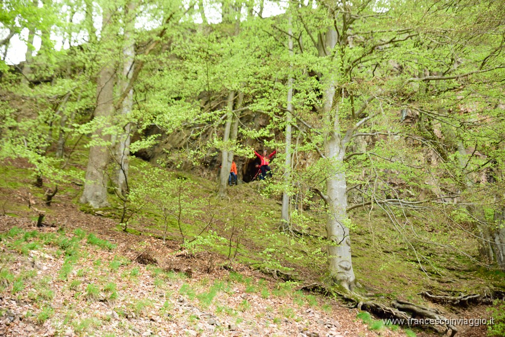DSC_3632.JPG
