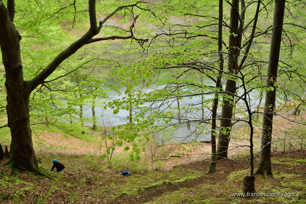 DSC_3716.JPG