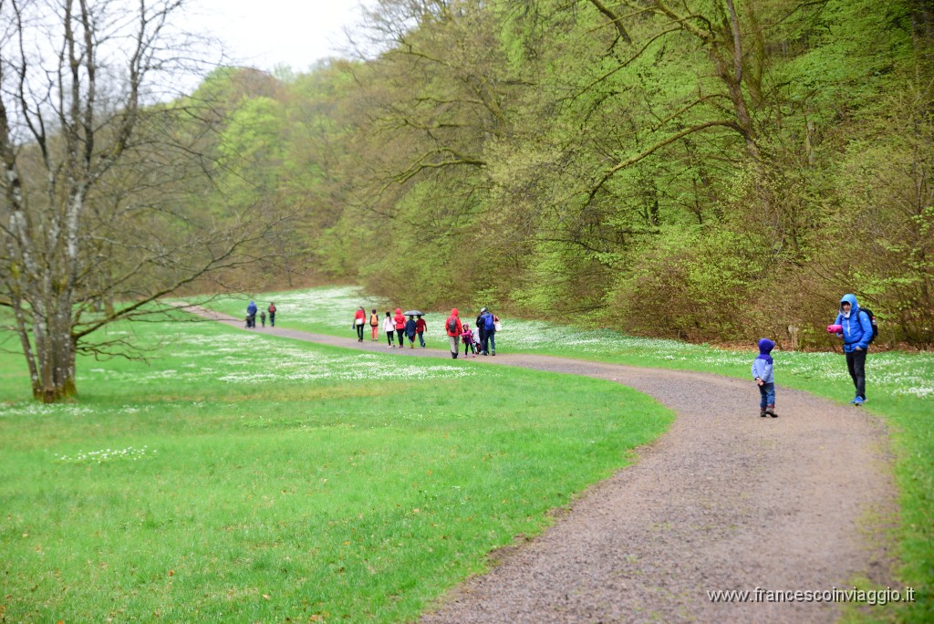 DSC_3738.JPG