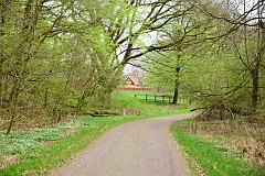 DSC_3536
