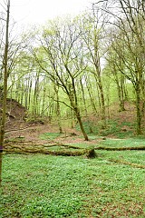 DSC_3537