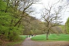 DSC_3540