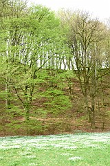 DSC_3547