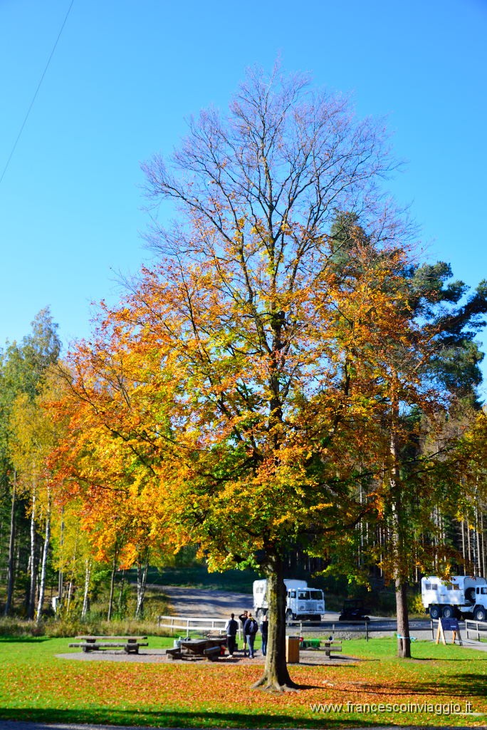 DSC_3993.JPG