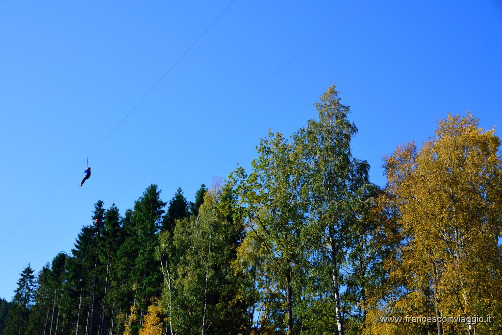 DSC_4028.JPG