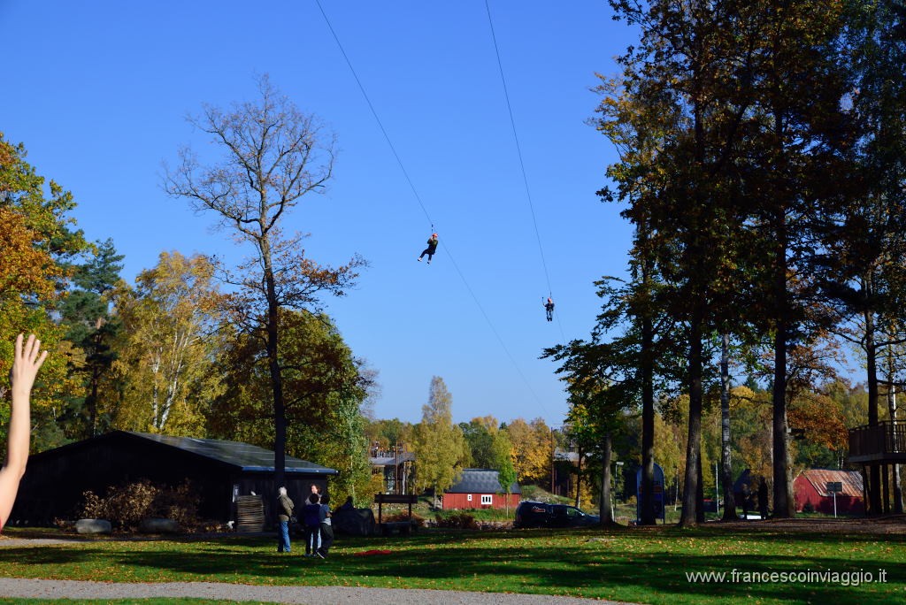 DSC_4038.JPG