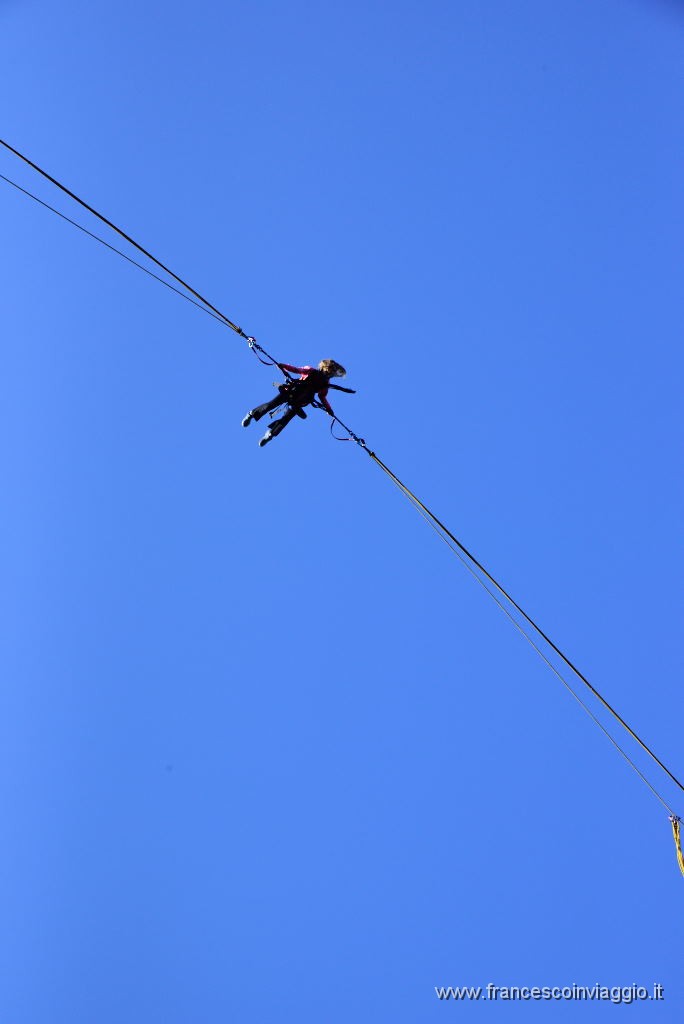DSC_4139.JPG