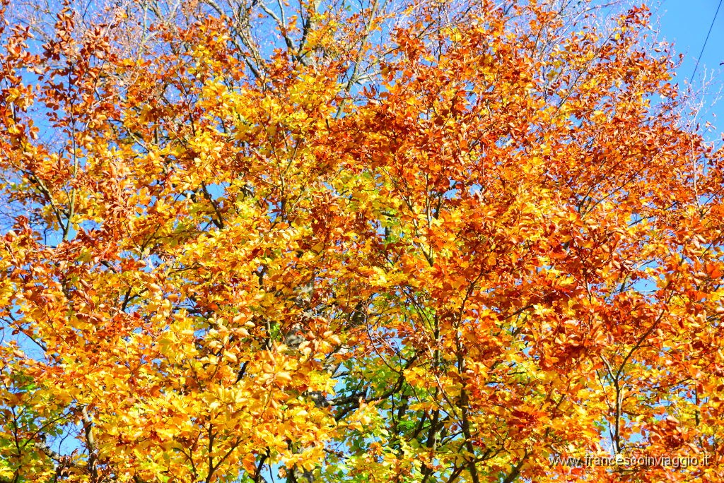 DSC_4175.JPG