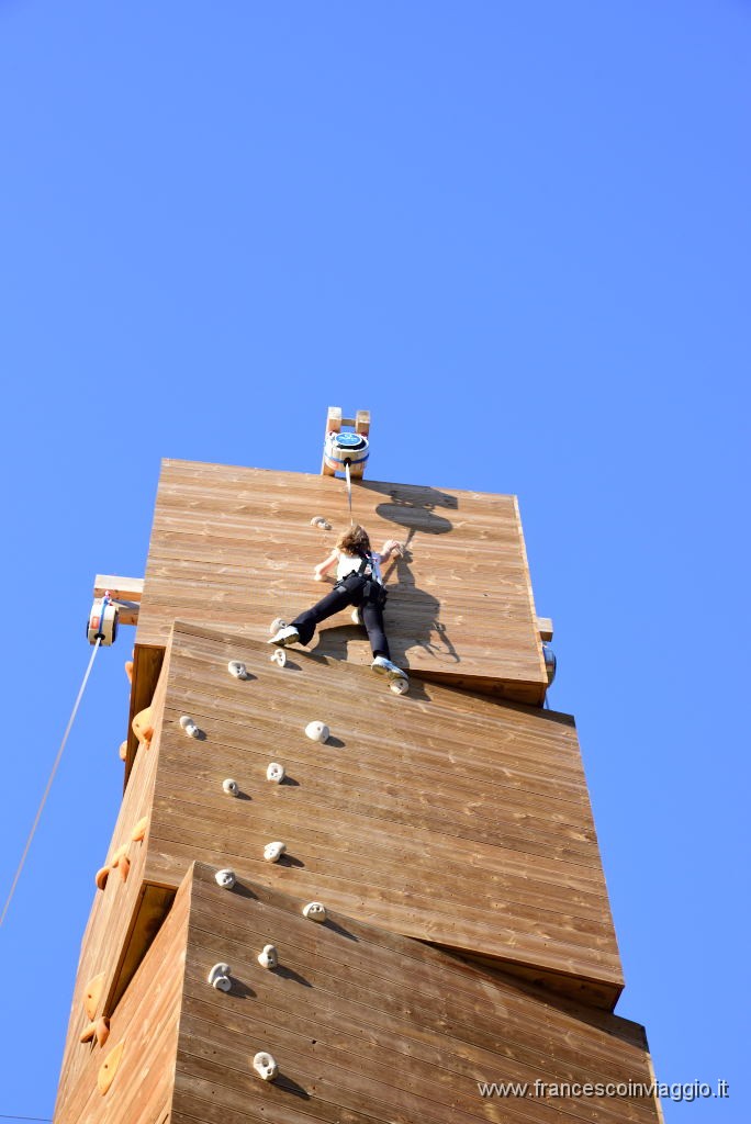 DSC_4201.JPG