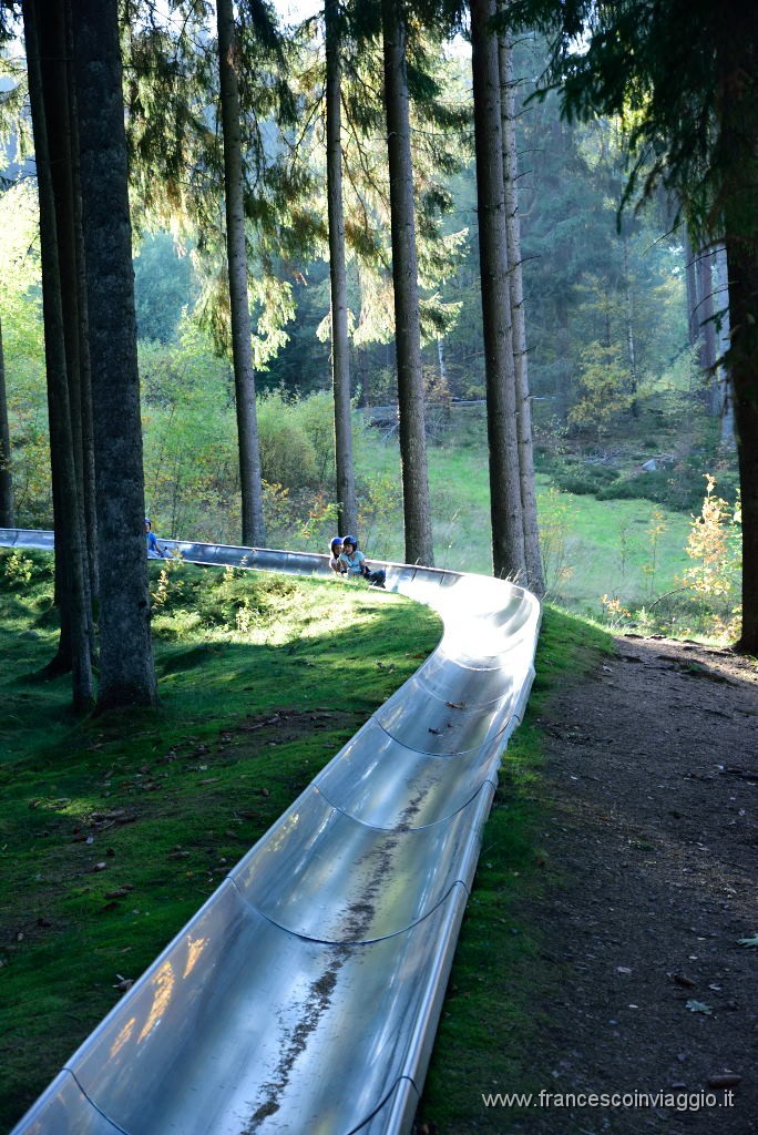 DSC_4270.JPG