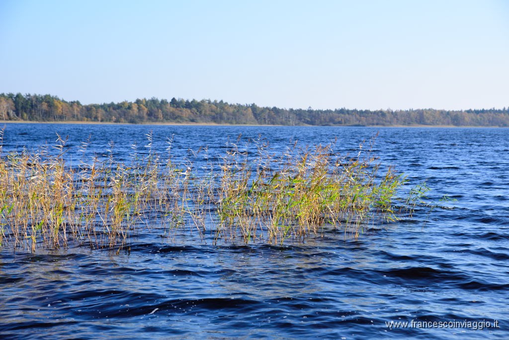 DSC_4311.JPG
