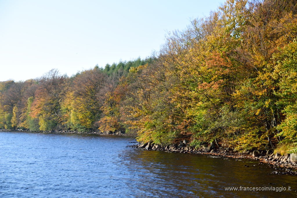 DSC_4378.JPG
