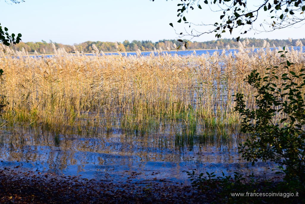 DSC_4400.JPG