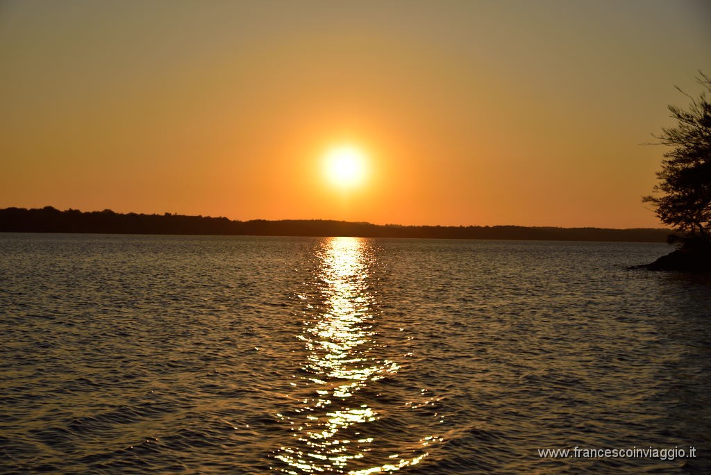 DSC_4525.JPG