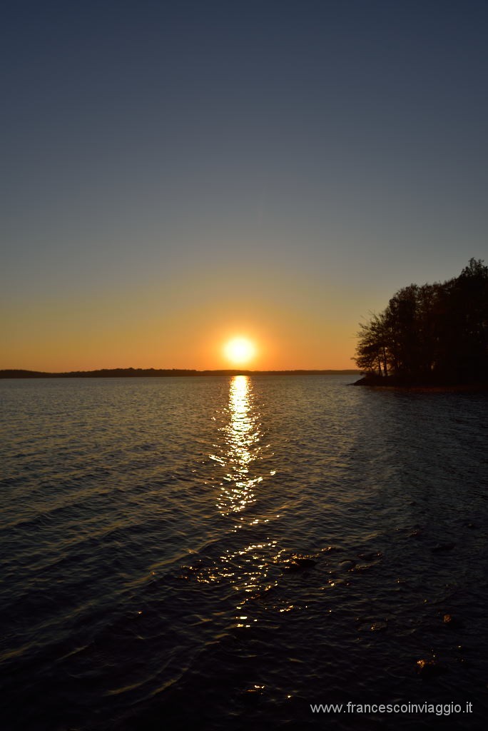 DSC_4528.JPG