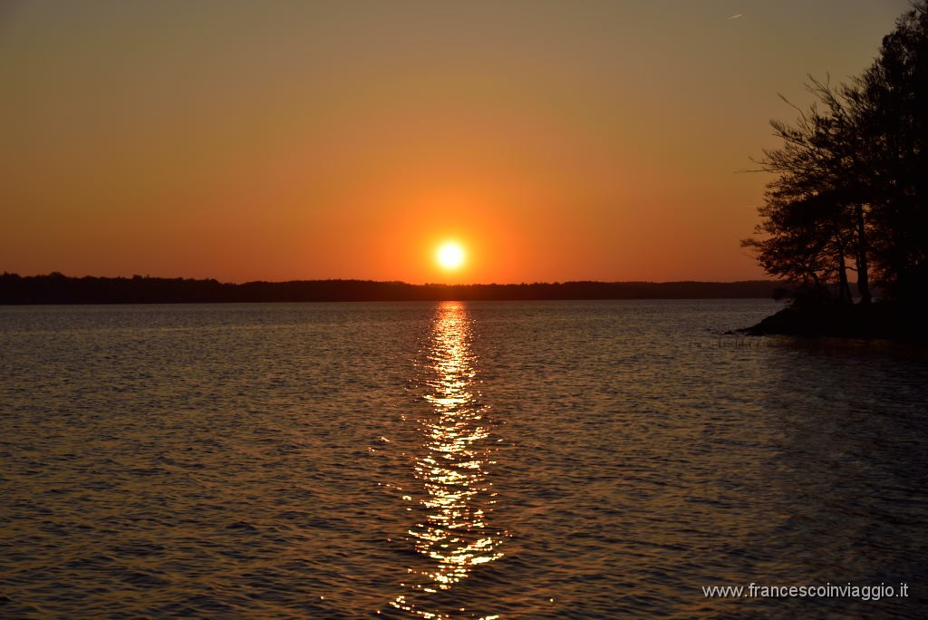DSC_4545.JPG