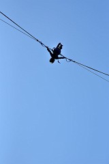 DSC_4088