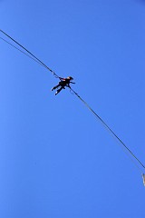 DSC_4139